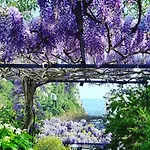 4 Stagioni Capri