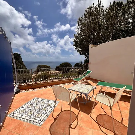 4 スタジョーニ