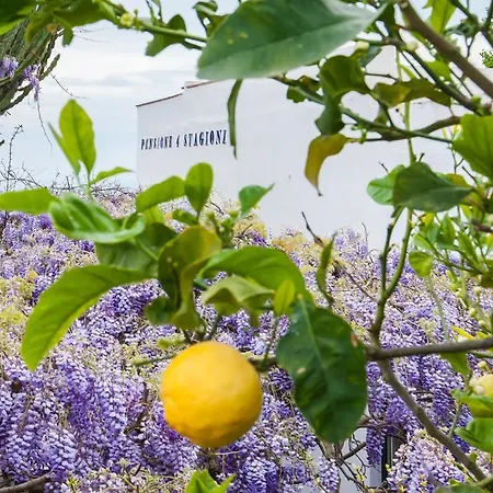 4 スタジョーニ ホテル *